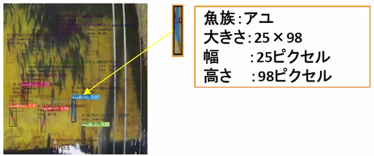 中国計器工業株式会社様の魚族カウントシステム