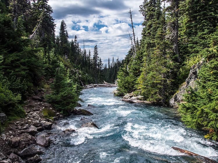 Image-analysis-AI-river-monitoring