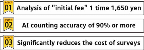 Three features of traffic survey AI (1)