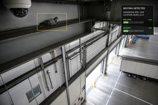 pest-detection-4