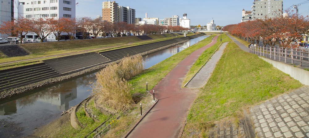 クラック検知をしながら河川水位の監視をするシステム開発をする事も可能です。